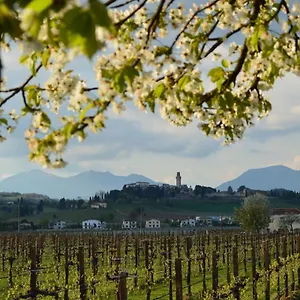 Appartamento Mi.lu, Susegana